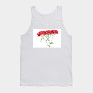 Achillea &#39;Fanal&#39; Yarrow Syn. Achillea &#39;The Beacon&#39; Tank Top